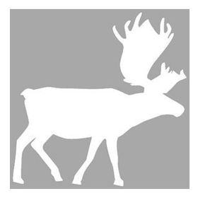 Artikel İkon Moose Stencil Boyama Şablonu 30x30 cm Duvar Stencil