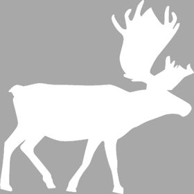 Artikel İkon Moose Stencil Boyama Şablonu 30x30 cm Duvar Stencil