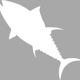Artikel İkon Somon Stencil Boyama Şablonu 30x30 cm Duvar Stencil