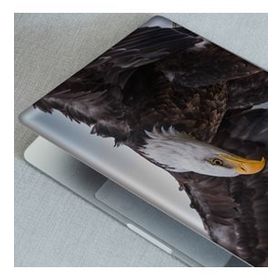 Artikel Kartal Notebook Sticker