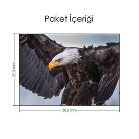 Artikel Kartal Notebook Sticker
