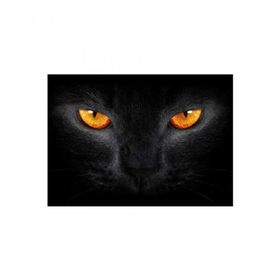 Artikel Kedi Gözü Notebook Sticker
