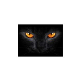 Artikel Kedi Gözü Notebook Sticker
