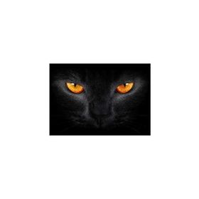 Artikel Kedi Gözü Notebook Sticker