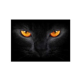 Artikel Kedi Gözü Notebook Sticker