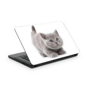 Artikel Kedicik Notebook Sticker