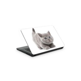 Artikel Kedicik Notebook Sticker