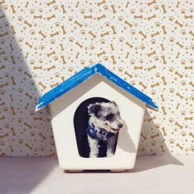 Artikel Kemik Deseni 30x30 cm Fayans Duvar Mobilya Stencil Boyama Şablonu