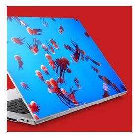 Artikel Kırmızı Deniz Anaları Notebook Sticker