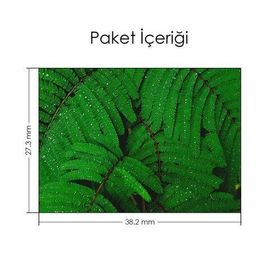 Artikel Makro Eğrelti Otu Notebook Sticker