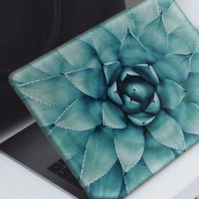 Artikel Makro Mavi Sukulent Notebook Sticker