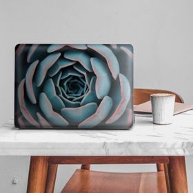 Artikel Mavi Pembe Makro Sukulent Notebook Sticker