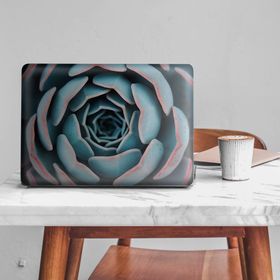 Artikel Mavi Pembe Makro Sukulent Notebook Sticker