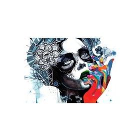 Artikel NS-057 Çizimsel Kız 38x27 cm Notebook Sticker