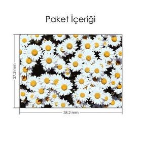 Artikel Papatya Tarlası Notebook Sticker
