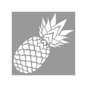 Artikel ST-1056 Detaylı Ananas Stencil Tasarımı 30x30 cm Kanvas Tablo