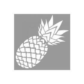 Artikel ST-1056 Detaylı Ananas Stencil Tasarımı 30x30 cm Kanvas Tablo