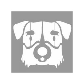Artikel ST-1102 Dağ Köpeği Stencil Tasarımı 30x30 cm Kanvas Tablo