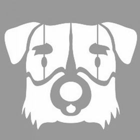 Artikel ST-1102 Dağ Köpeği Stencil Tasarımı 30x30 cm Kanvas Tablo