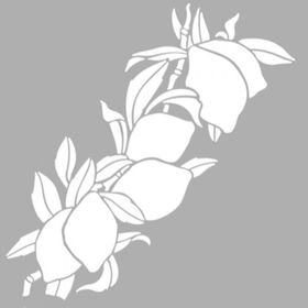 Artikel ST-1243 Lime Dal Motif Stencil Tasarımı 30x30 cm Kanvas Tablo