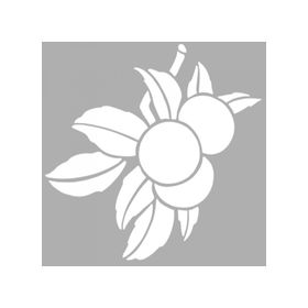 Artikel ST-1288 Portakal Dalı Motif Stencil Tasarımı 30x30 cm Kanvas Tablo