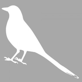 Artikel ST-1354 Yalın Karda Desen Stencil Tasarımı 30x30 cm Kanvas Tablo