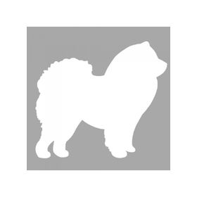 Artikel ST-1362 Chow Stencil Tasarımı 30x30 cm Kanvas Tablo