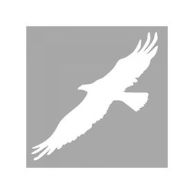 Artikel ST-1374 İkon Kartal Stencil Tasarımı 30x30 cm Kanvas Tablo