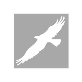 Artikel ST-1374 İkon Kartal Stencil Tasarımı 30x30 cm Kanvas Tablo