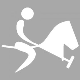 Artikel ST-1382 İkon Polo Spor Stencil Tasarımı 30x30 cm Kanvas Tablo