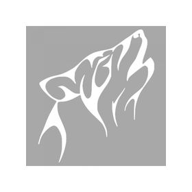 Artikel ST-1383 Kurt Tribal Stencil Tasarımı 30x30 cm Kanvas Tablo