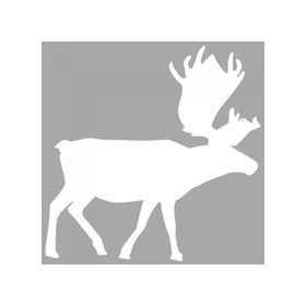 Artikel ST-1393 İkon Moose Stencil Tasarımı 30x30 cm Kanvas Tablo