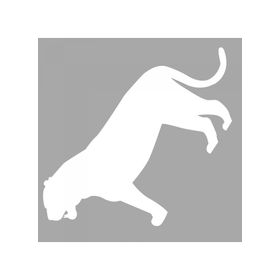 Artikel ST-1416 İkon Puma Stencil Tasarımı 30x30 cm Kanvas Tablo
