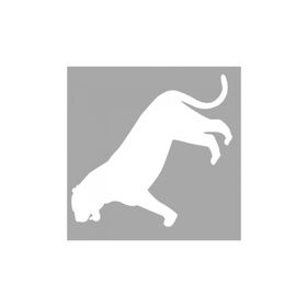 Artikel ST-1416 İkon Puma Stencil Tasarımı 30x30 cm Kanvas Tablo