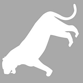 Artikel ST-1416 İkon Puma Stencil Tasarımı 30x30 cm Kanvas Tablo