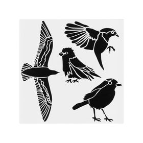 Artikel ST-415 Kuş Türleri Stencil Tasarımı 30x30 cm Kanvas Tablo