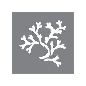 Artikel ST-628 Coral Stencil Tasarımı 30x30 cm Kanvas Tablo