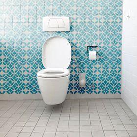 Artikel ST-917 Desen Janet Stencil Tasarımı 30x30 cm Kanvas Tablo