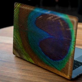 Artikel Tavuskuşu Tüyü Notebook Sticker