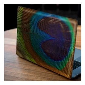 Artikel Tavuskuşu Tüyü Notebook Sticker