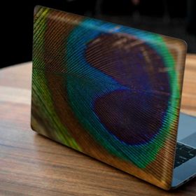 Artikel Tavuskuşu Tüyü Notebook Sticker
