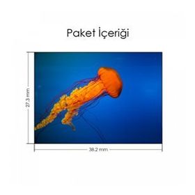 Artikel Turuncu Deniz Anası Notebook Sticker