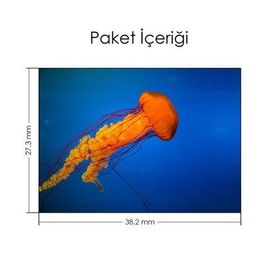 Artikel Turuncu Deniz Anası Notebook Sticker