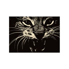 Artikel Vahşi Kedi Notebook Sticker