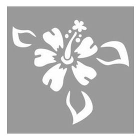 Artikel Yapraklı Hibisküs Stencil Boyama şablonu 30x30 cm Duvar Stencil