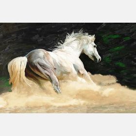 Artist AN-005 60x90 cm Kanvas Tablo