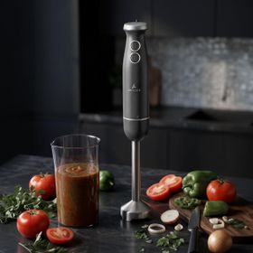 Aryıldız Functional Stick Antrasit El Blender