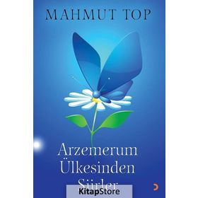 Arzemerum Ülkesinden Şiirler - Mahmut Top