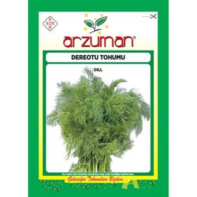 Arzuman 1 kg Dereotu Tohumu