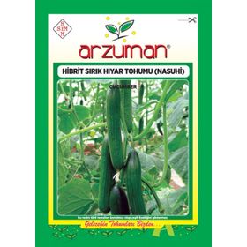 Arzuman 10 Adet Hibrit Sırık Salatalık Tohumu Nasuhi